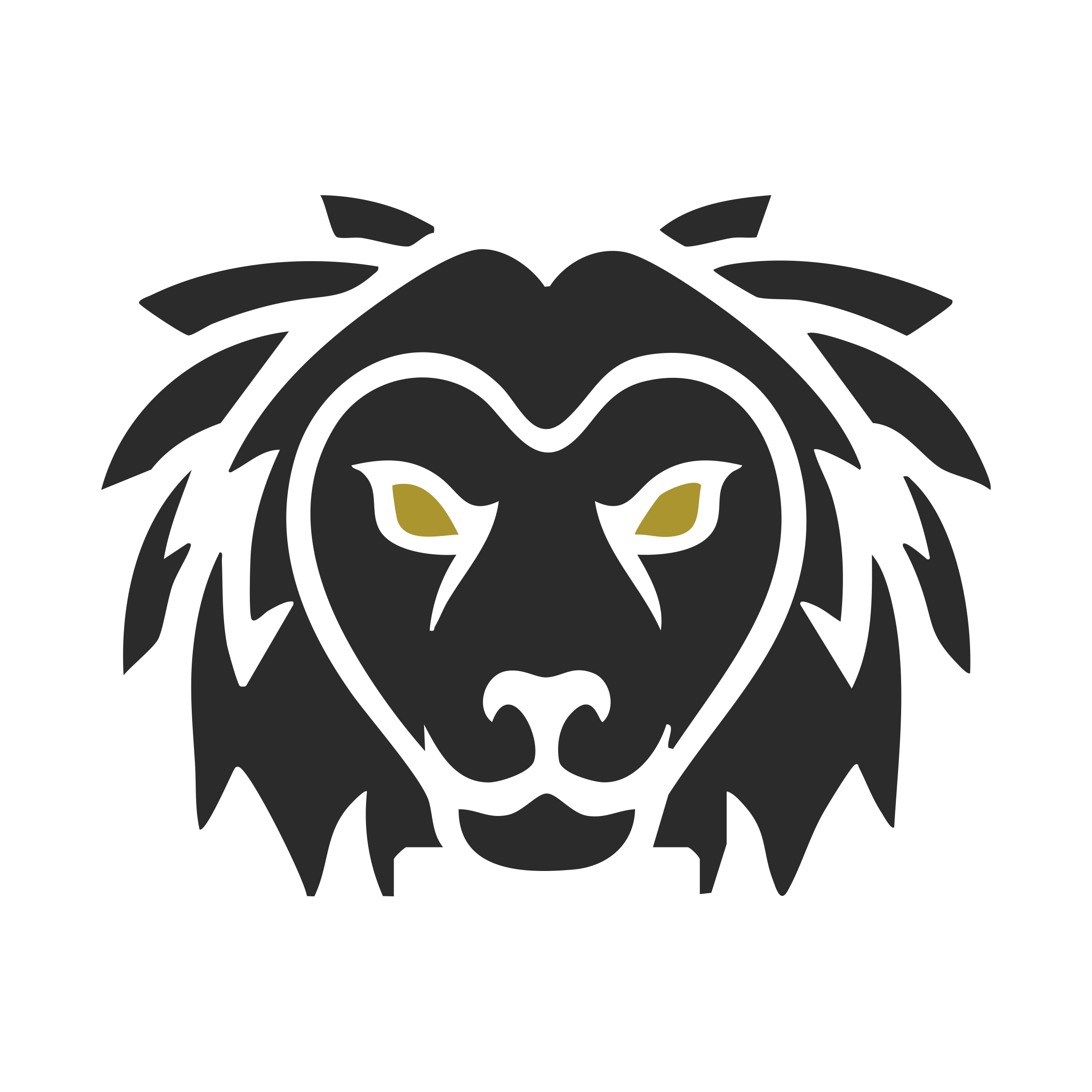 The Atlas Lions