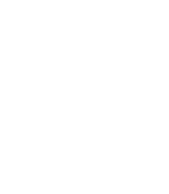 Organizador